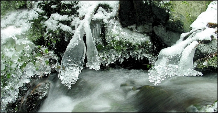 Wintertag am Waldbach