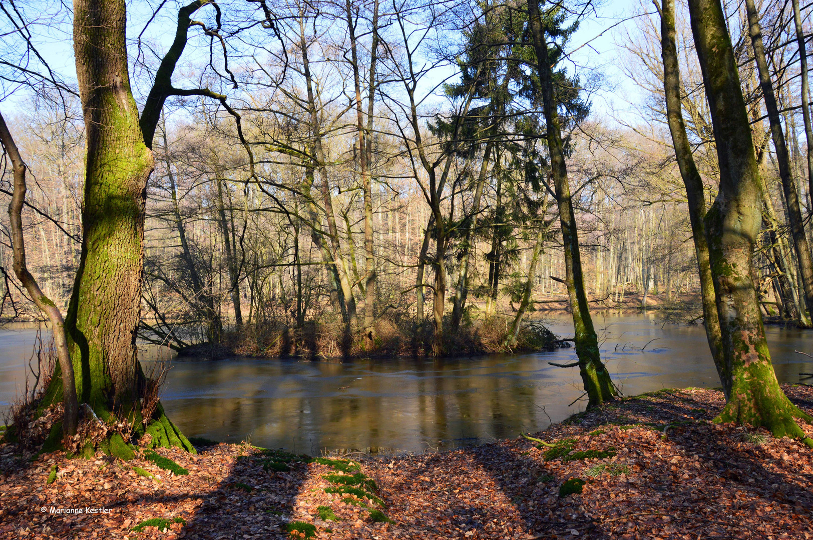 Wintertag am Weiher