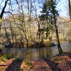 Wintertag am Weiher