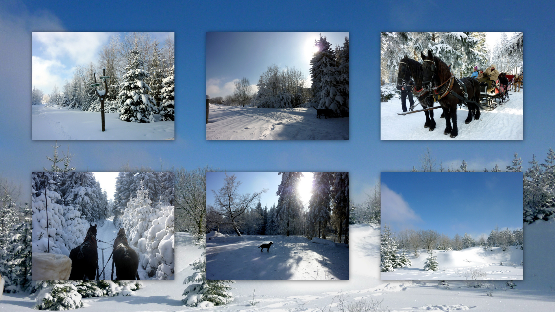 Wintertag auf dem Rennsteig