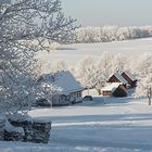 Wintertag auf der Alb