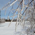 Wintertag auf der Dreibrüderhöhe