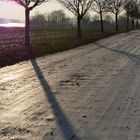 Wintertag auf Rügen
