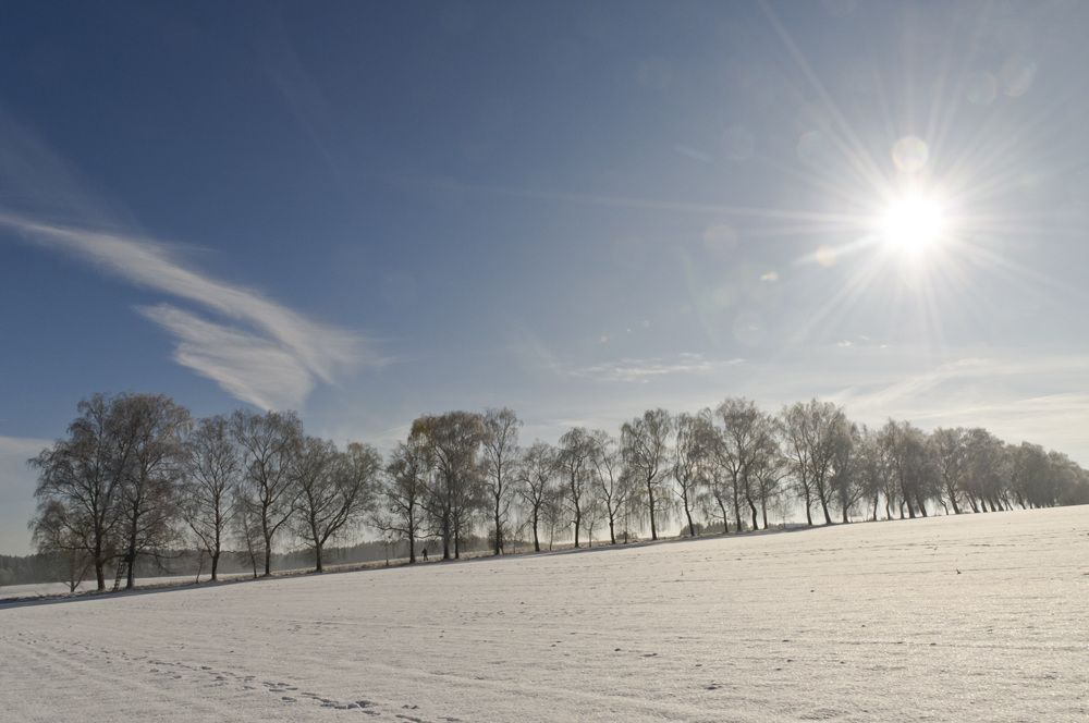 Wintertag bei Wagelsried