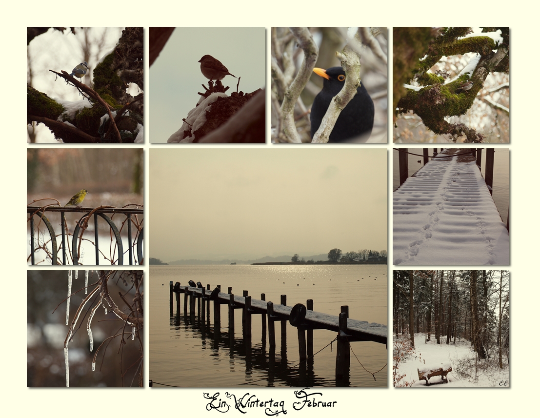 Wintertag- Collage