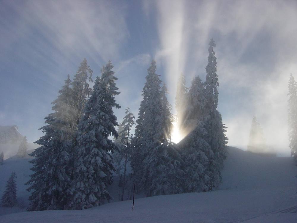 Wintertag im Gurnigel, Schweiz