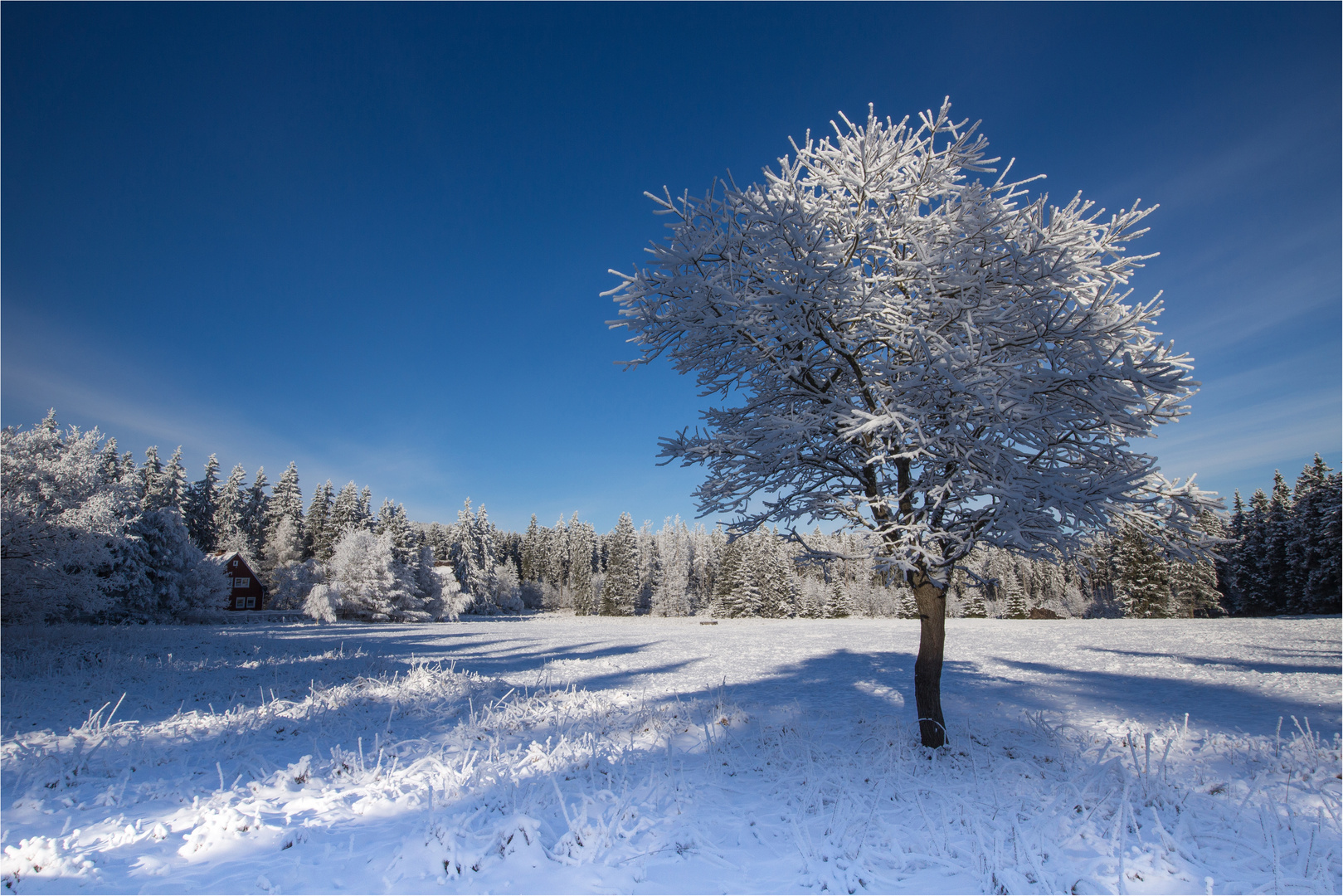 Wintertag im Harz