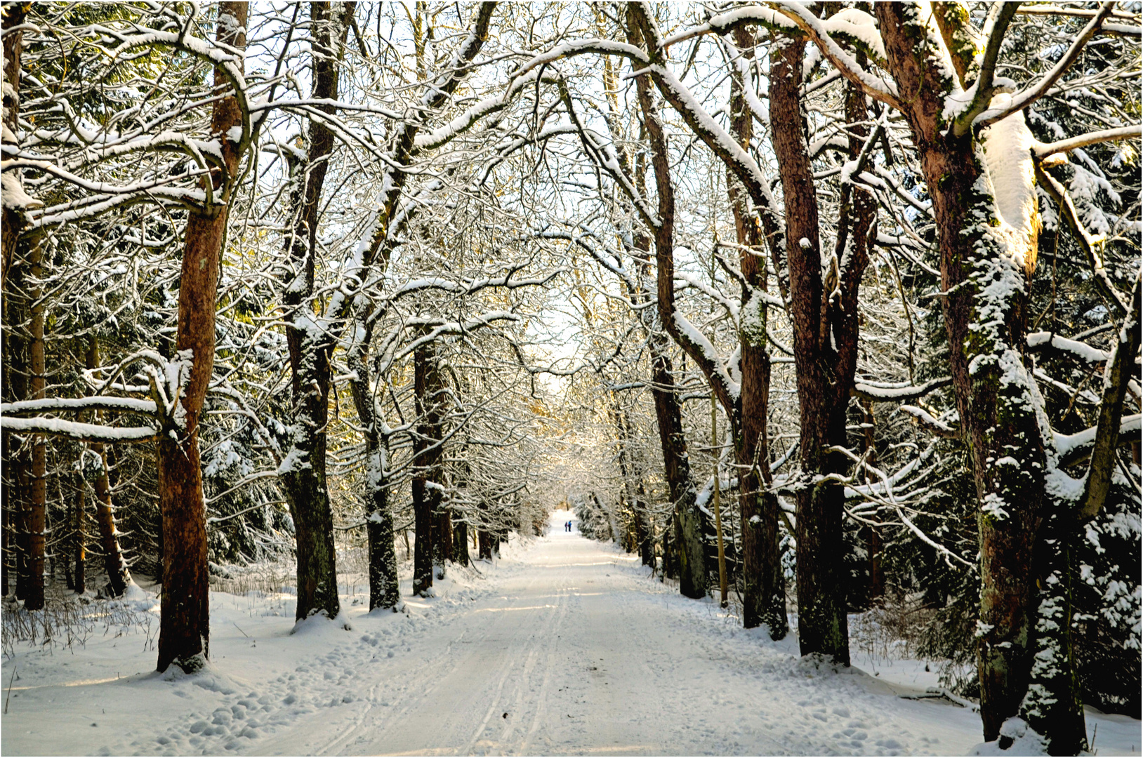 Wintertag im Harz