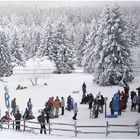 Wintertag im Harz