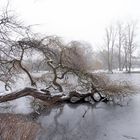 Wintertag im Landschaftsgarten