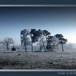 Wintertag im Lipperoder Bruch...