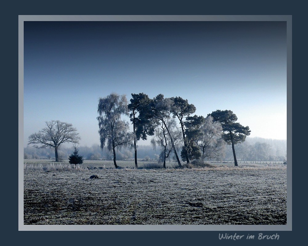 Wintertag im Lipperoder Bruch...