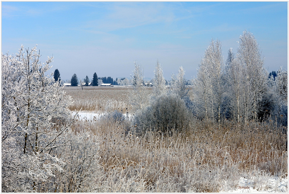 Wintertag im Moor