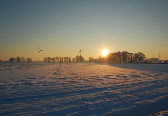 Wintertag im Münsterland