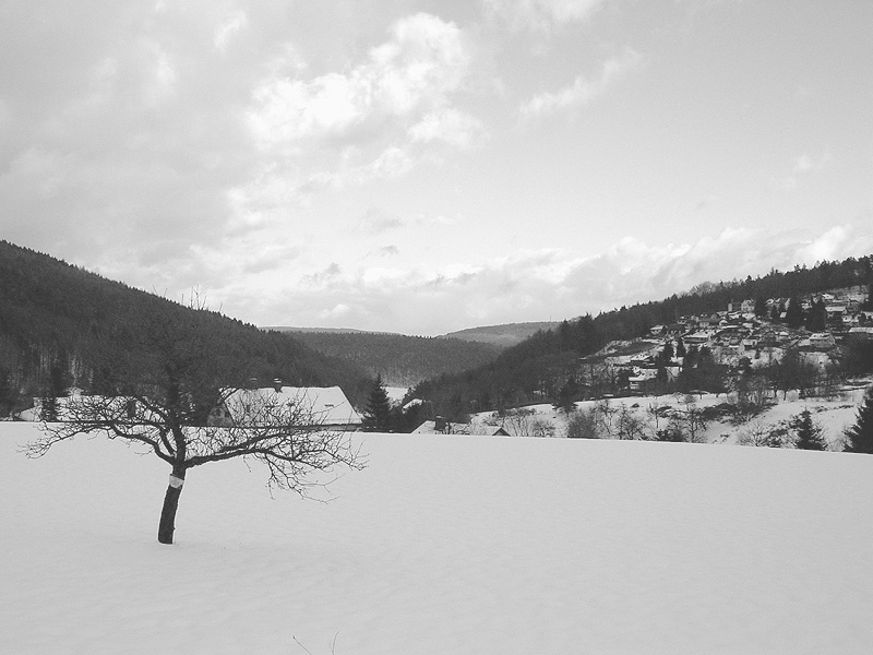 Wintertag im Odenwald
