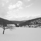 Wintertag im Odenwald