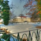 Wintertag im Park