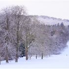 Wintertag im Schlosspark Wilhelmshöhe Kassel (II)