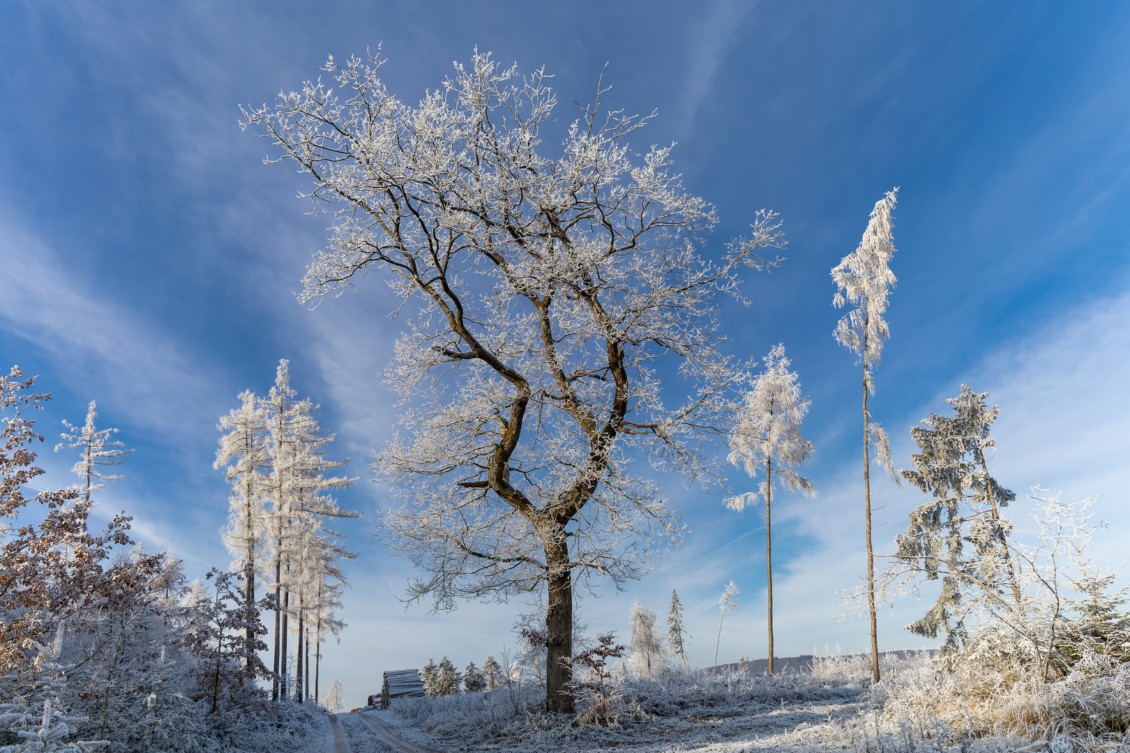 Wintertag im Solling