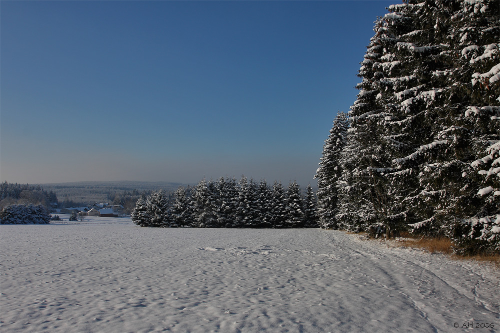 Wintertag im Vogtland