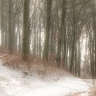 Wintertag im Wienerwald