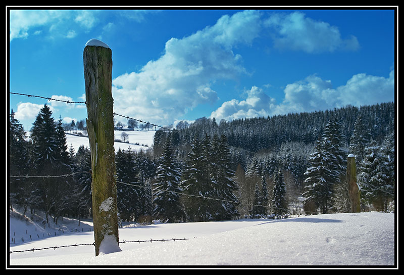 Wintertag in der Eifel (02215)
