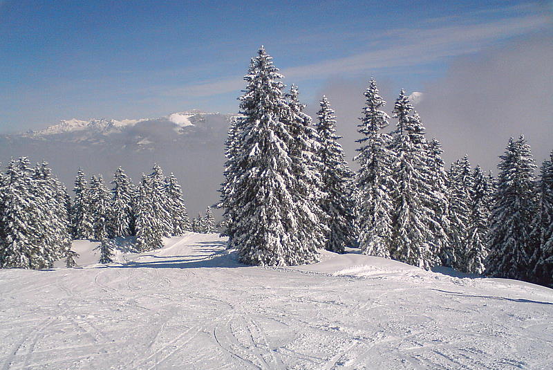 Wintertag in der Kelchsau in Tirol