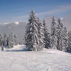 Wintertag in der Kelchsau in Tirol