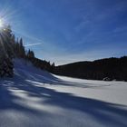 Wintertag in der Leutasch /Tirol