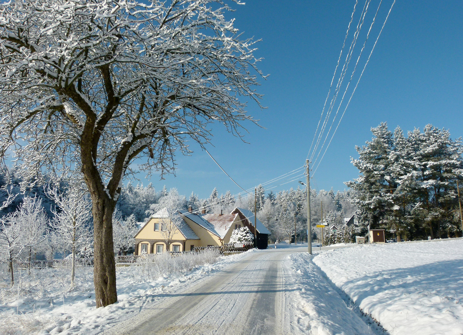 Wintertag in der Oberlausitz