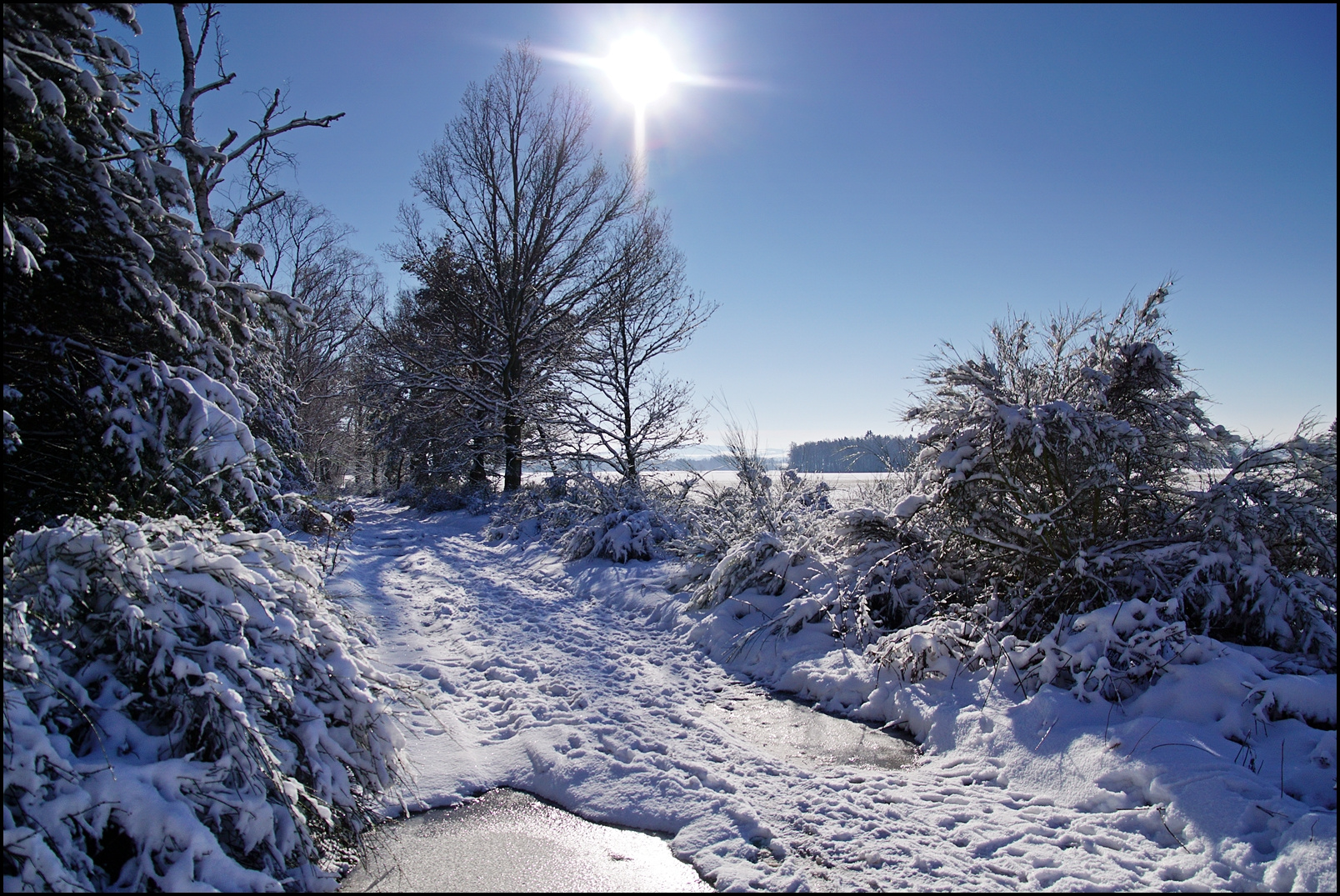 Wintertag in der Oberlausitz