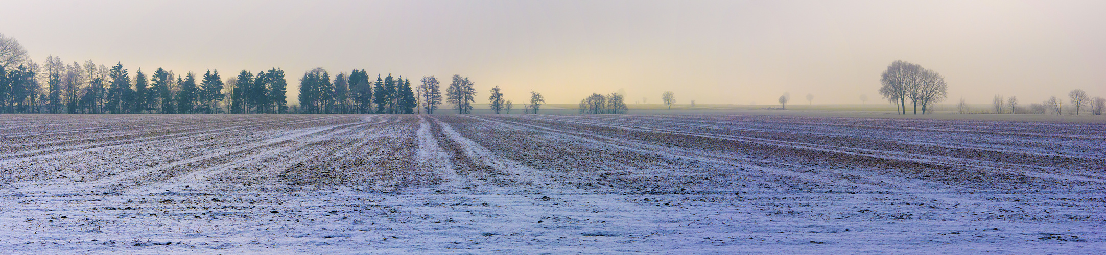 Wintertag in der Soester Boerde 2