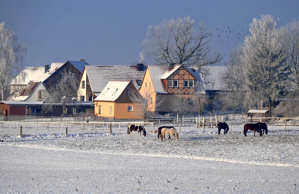 Wintertag in Neustadt/Orla