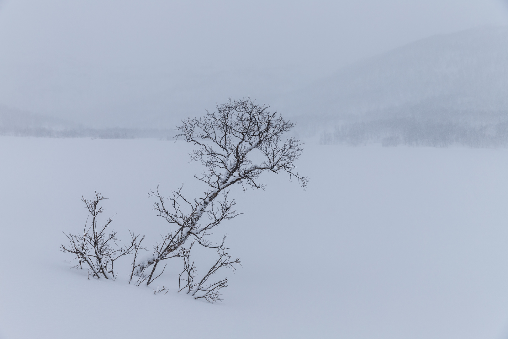 Wintertag in Nordnorwegen an einem zugefrorenen See