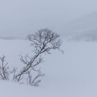 Wintertag in Nordnorwegen an einem zugefrorenen See