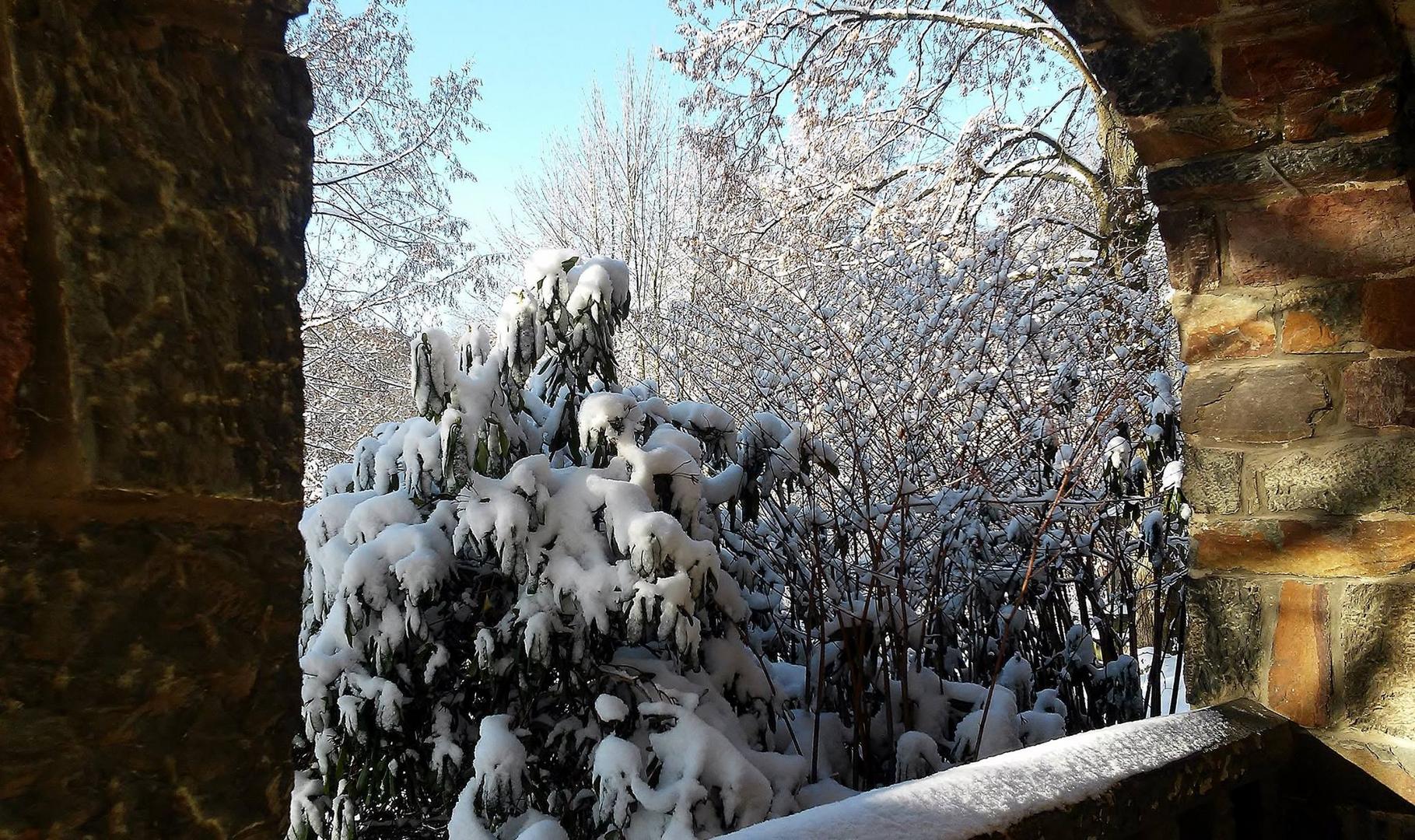 Wintertag in Thüringen