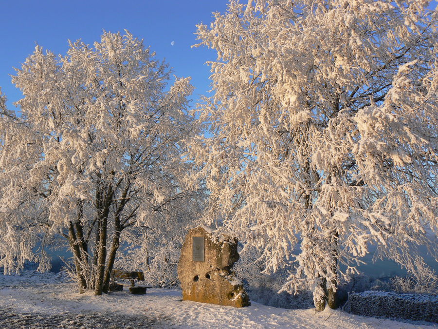 Wintertag mit Mond