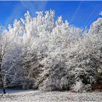 Wintertag -  mit Puderzucker der Natur