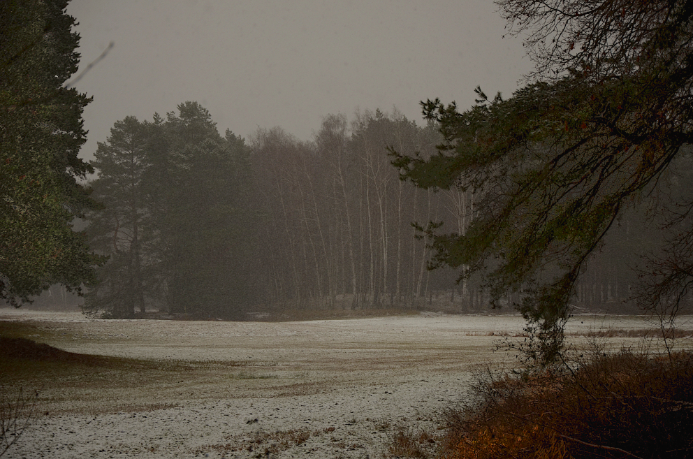 wintertag mit schnee