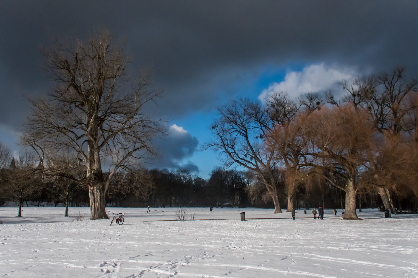 Wintertag mit Sturmwolken im Englischen Garten