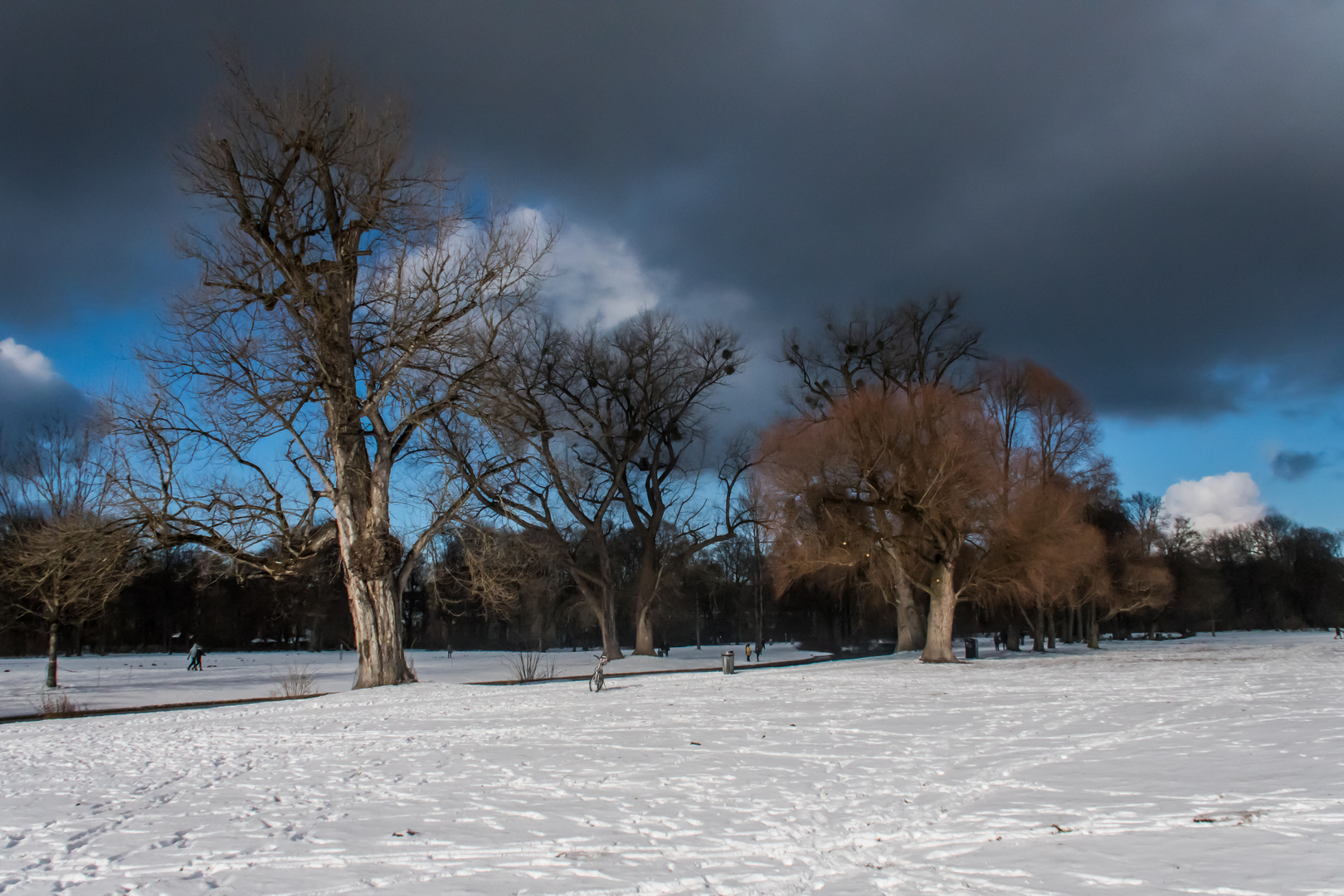 Wintertag mit Sturmwolken im Englischen Garten