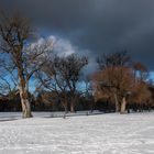 Wintertag mit Sturmwolken im Englischen Garten