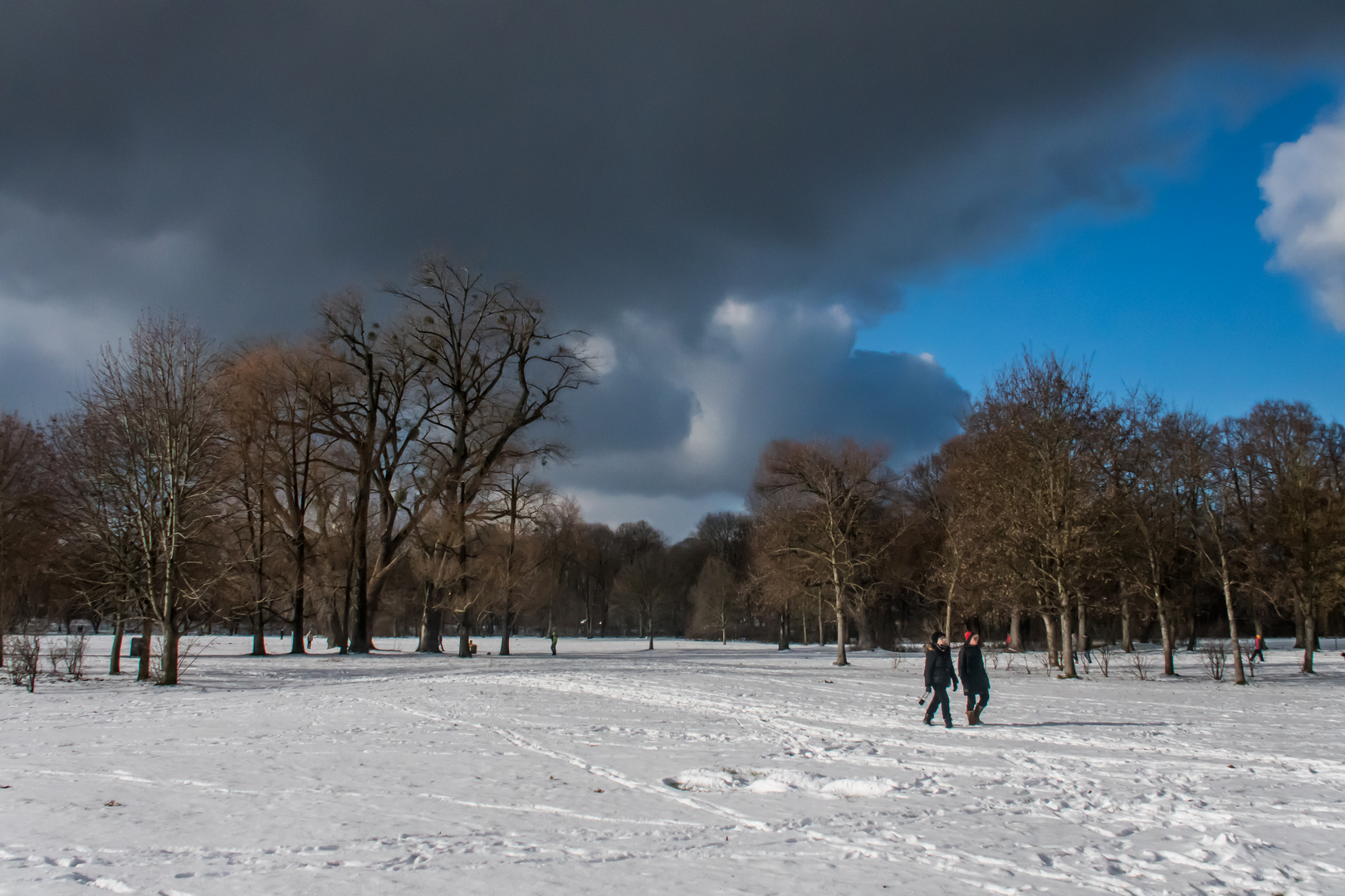 Wintertag mit Sturmwolken im Englischen Garten