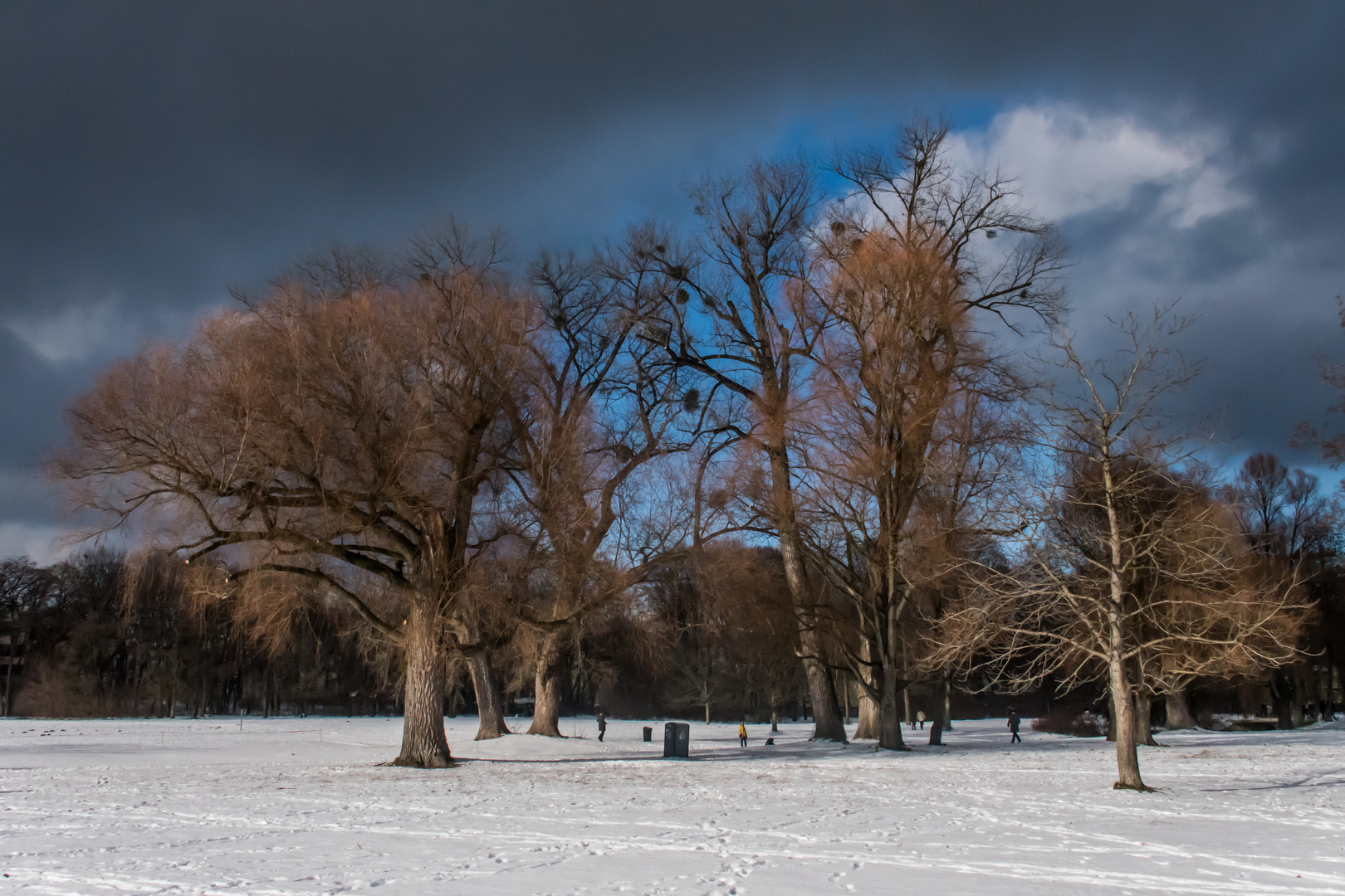 Wintertag mit Sturmwolken im Englischen Garten