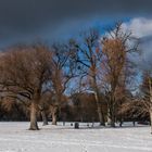 Wintertag mit Sturmwolken im Englischen Garten