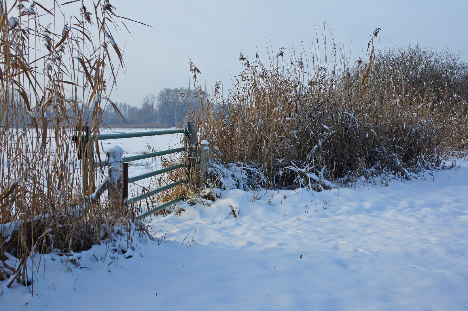  Wintertag zwischen den Feldern