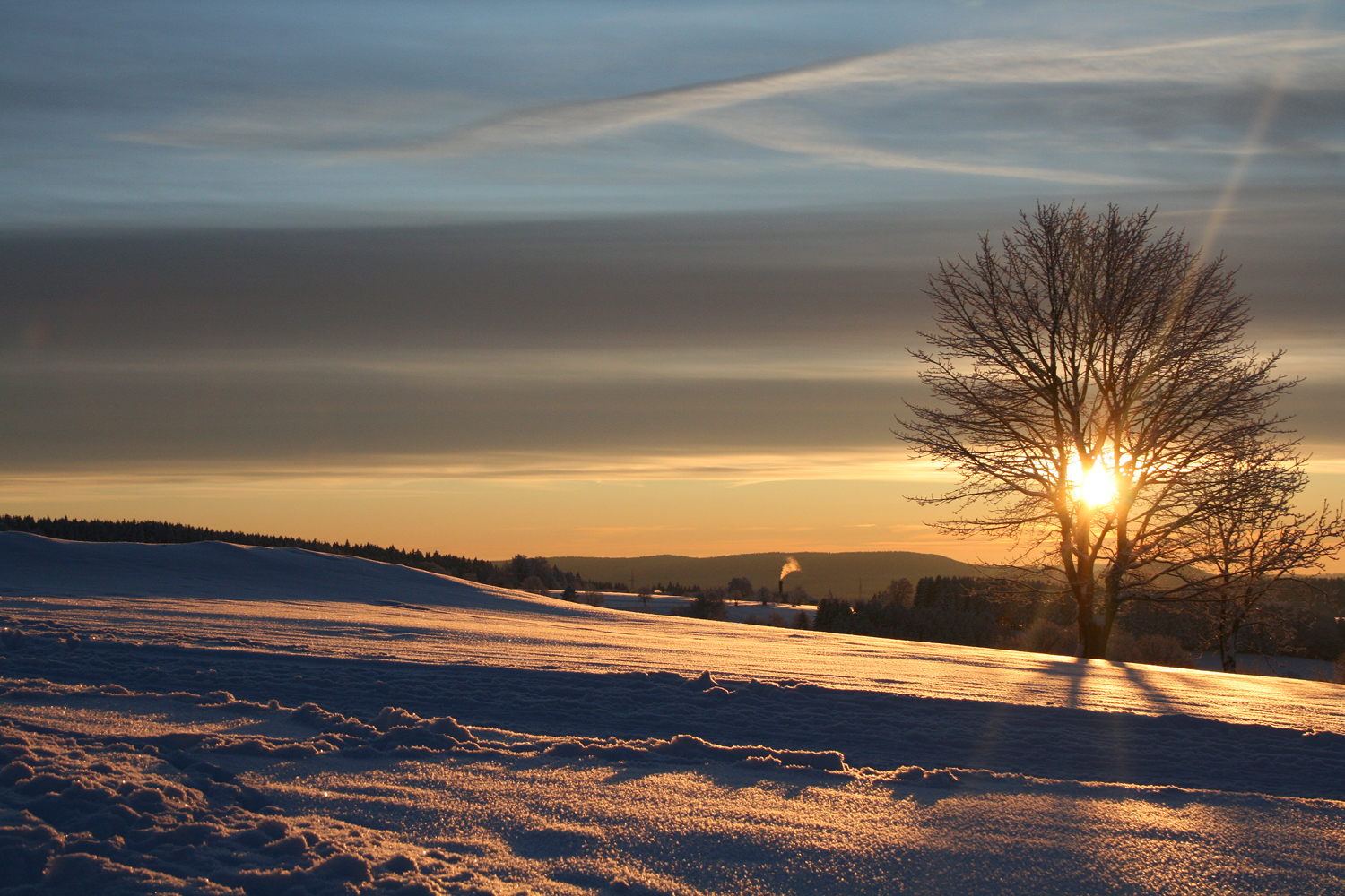 Wintertage im Harz (1)