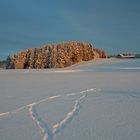 Wintertage im Harz (2)