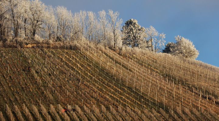 Wintertage im Rotenberg