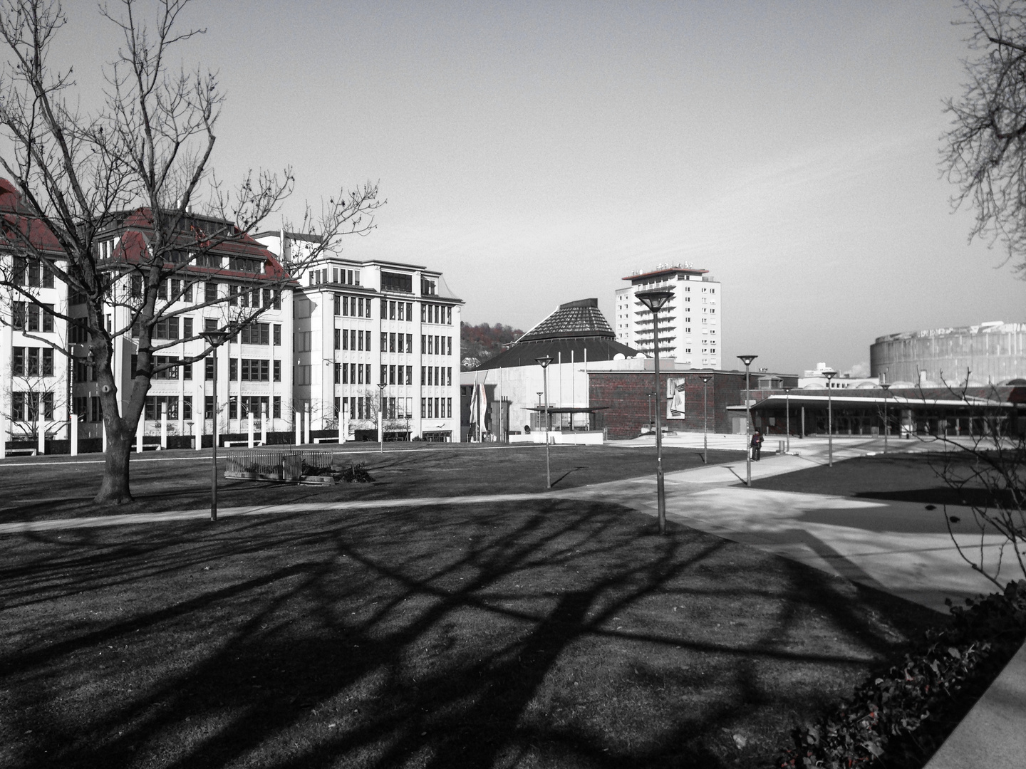 Wintertage oder die langen Schatten der Bäume